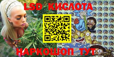 гидра Аша
