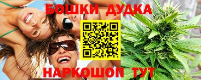 гидра Аша