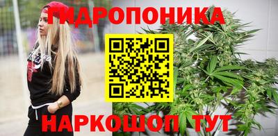 гидра Аша
