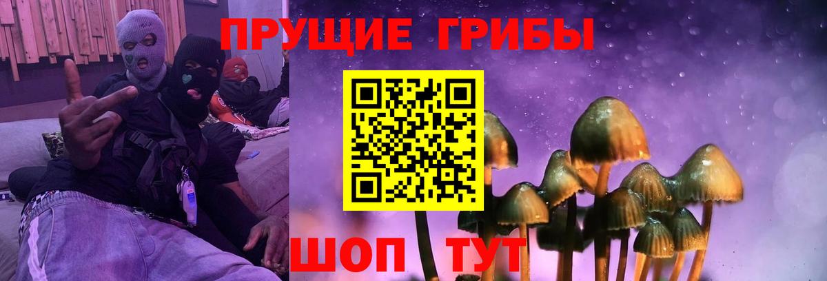 Рубцовск  Псилоцибиновые грибы Cubensis  Вход с VPN 
